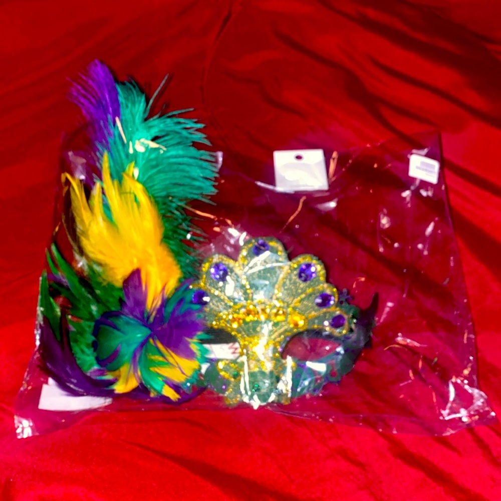 Mardi Gras Mask!  Traditional green, gold, and purple mask!